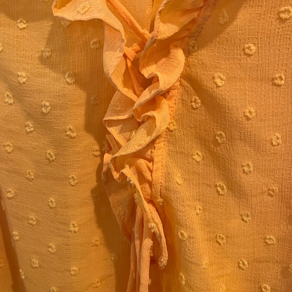 Anthro ruffle top